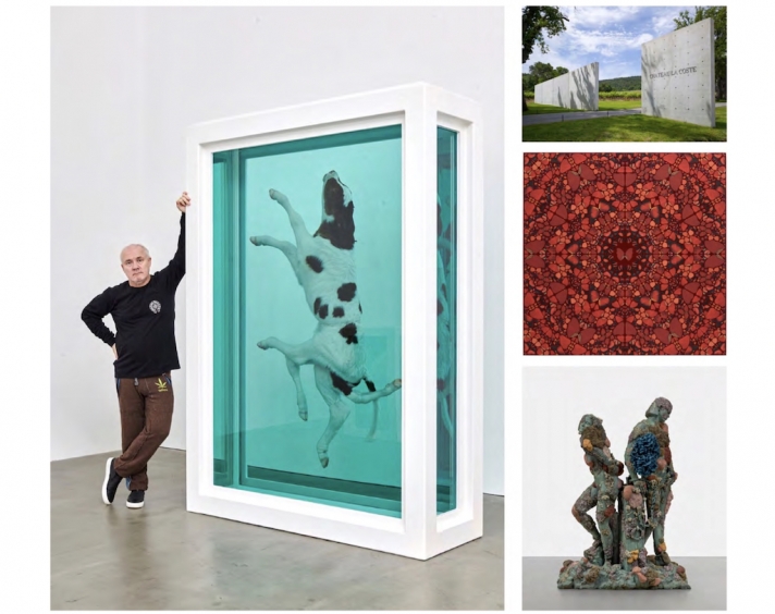 Damien Hirst at Château La Coste - Exhibition «The Light That Shines»