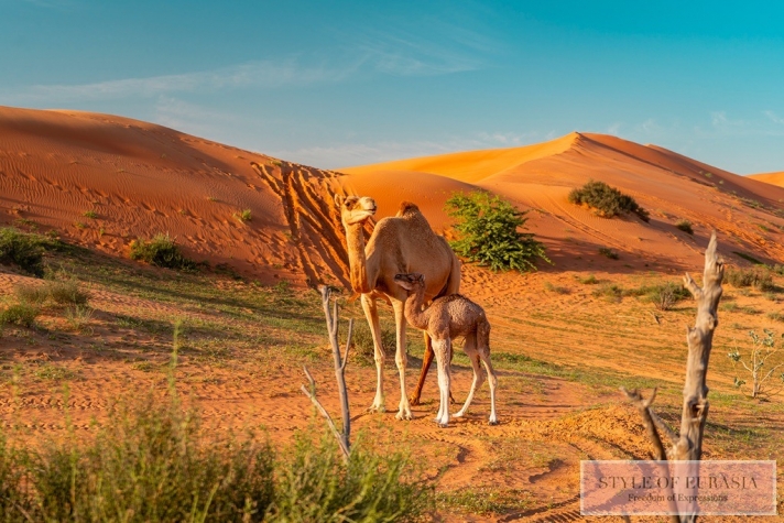 Ras Al Khaimah Tourism Development Department presents a new approach to sustainable tourism: balanced tourism