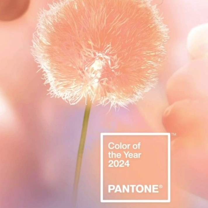 Pantone Institute Names Peach Fuzz 13-1023 as the Main Color of 2024