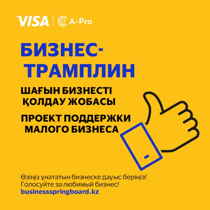 Voting for the best project in the «Business Springboard» competition from Visa has started