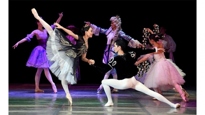 «Anna Pavlova - the swan of Russian ballet!» will present to the residents of «Young Ballet Almaty»